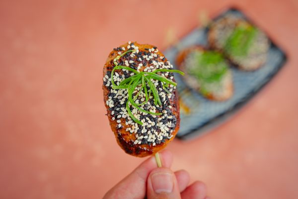 tsukune / yakitori spiesjes