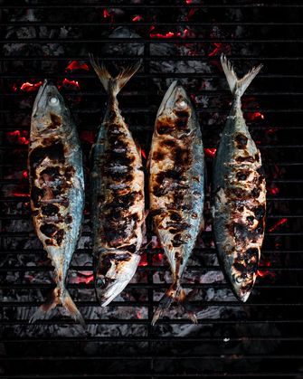 Sardines grill