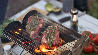 zomer musthave: Flatpack Grill & Firepit