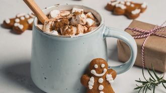 Scandinavische lekkernijen voor kerst