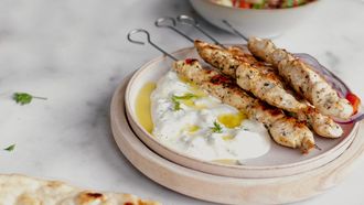Makkelijke souvlaki van kip