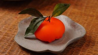 Meat fruit