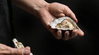 Oester openmaken