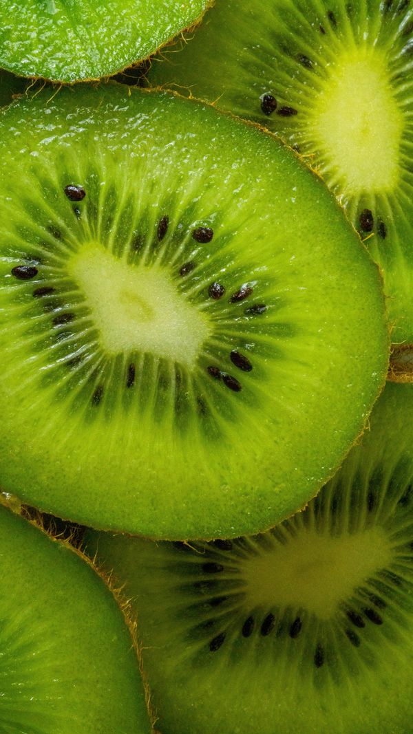 kiwi