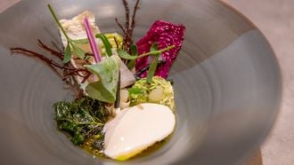 Kool met melkcurd bij restaurant Hemel & Aarde in Utrecht