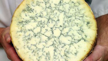 Zo Leer Je De Verschillende Soorten Blauwe Kaas Herkennen Culy Nl