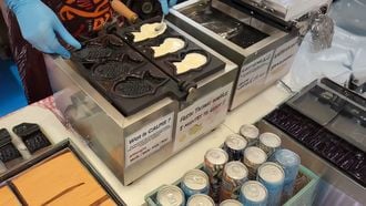 taiyaki japanse viswafel