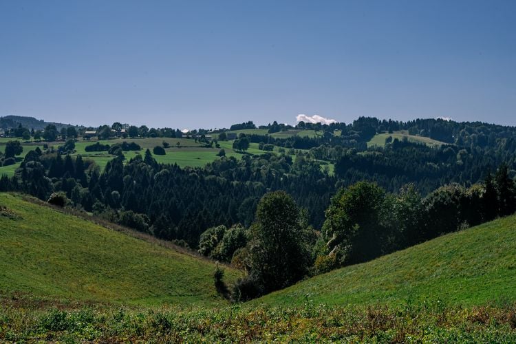 Rigoni