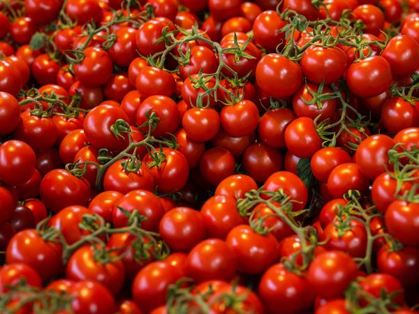 overgebleven tomaten gebruiken stock unsplash