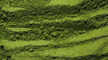 Matcha bewaren koelkast