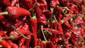 vega(n) 'nduja stock unsplash