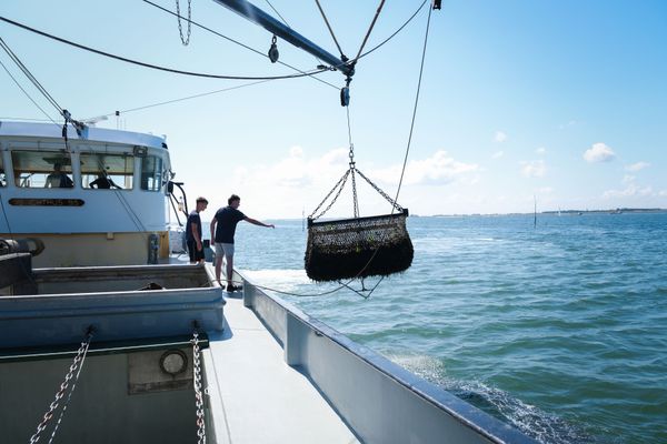 Mossel trip / Mosselkotter