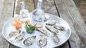 Hermit gin oesters