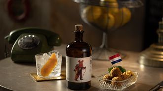 bitterballen gin van Monkey 47