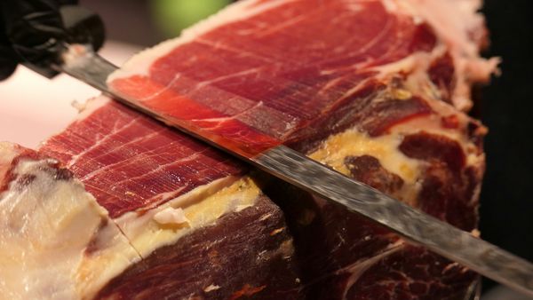 Ham soorten jamon iberico