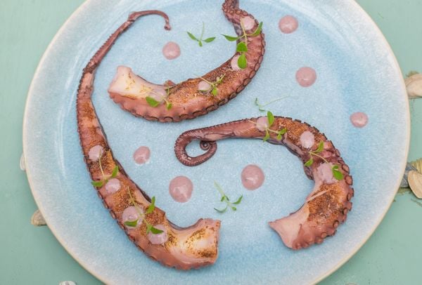 pulpo al olivo