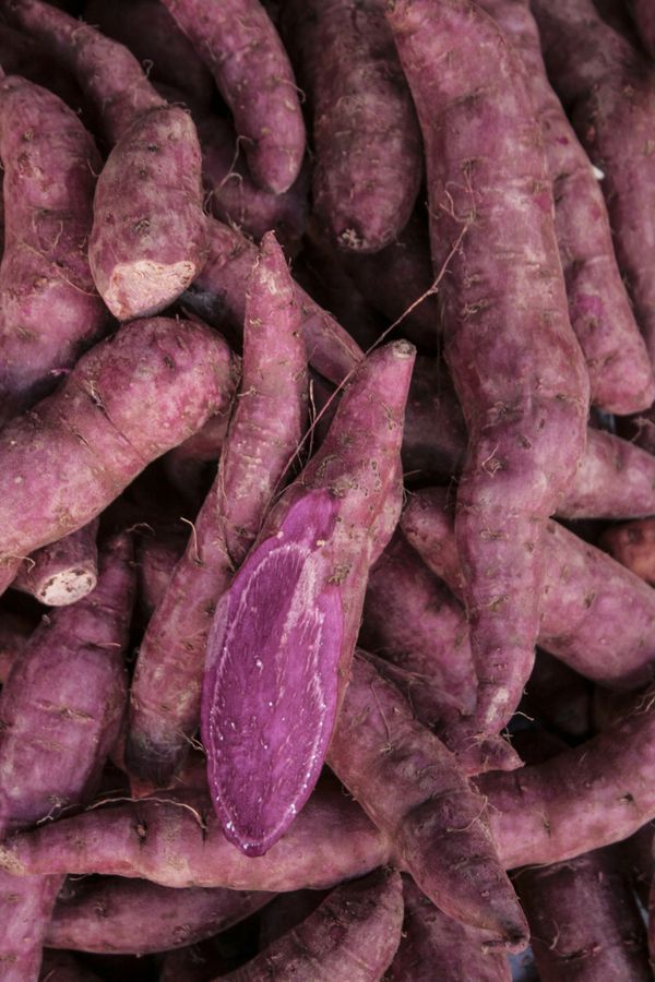 purple taro for sell in the market
