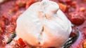 burrata