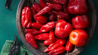 pepers paprika's en tomaten