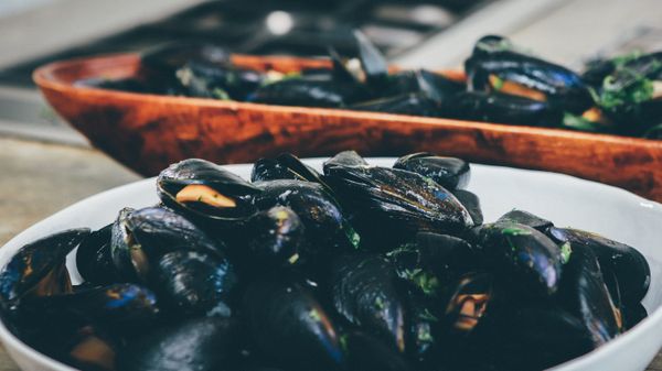cooking mussels