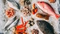 beste visrestaurants zeeland stock unsplash