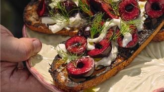 Toast-met-gesmolten-brie-kersen-Griekse-basilicum-credits-Rinze-Vegelien