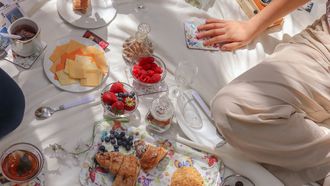 picknick recepten en picknick producten