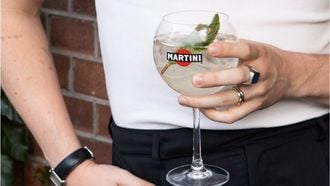 MARTINI cocktails