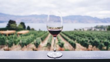biologische of biodynamische wijn