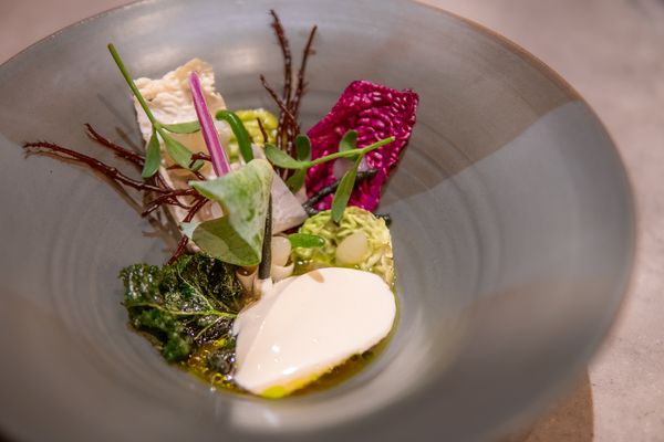 Kool met melkcurd bij restaurant Hemel & Aarde in Utrecht