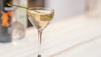 Vermouth / vermout / vermut