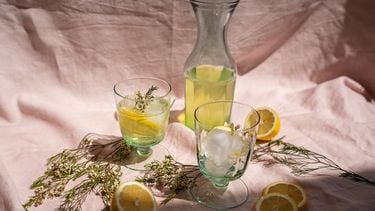 cocktails met limoncello stock unsplash