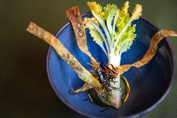 Sea kale bij Taiko in het vegan lentemenu
