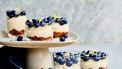 Citroen-mascarponemousse-met-blauwe-bessen de toetjesbijbel