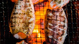 Robatayaki-grill-inktvis-stock