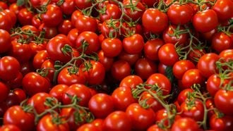 overgebleven tomaten gebruiken stock unsplash