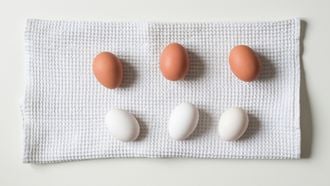 verschil witte bruine eieren