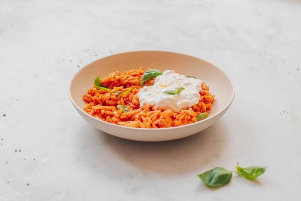 Orzo alla vodka met burrata | makkelijke pasta