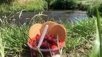 Wingbergerhoeve Fruit en IJs