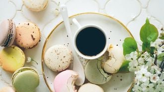 Lente gadgets