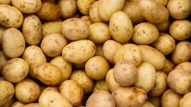 aardappelen