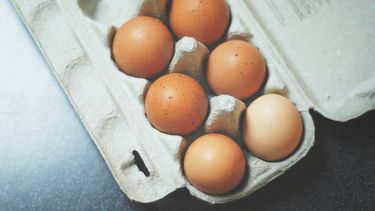 Soorten eieren Kipster Marigold Oerei