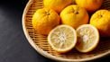 Yuzu fruit