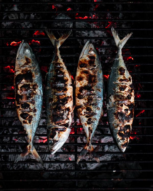 Sardines grill