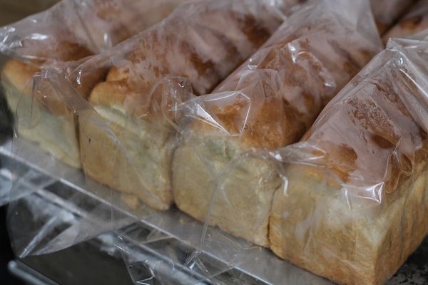 brood in plastic