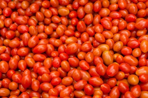 overgebleven tomaten bewaren stock unsplash