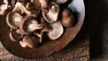 shiitake paddenstoelen
