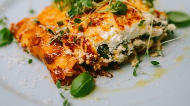 Lasagne Met Vier Soorten Kaas Van Janny Culy Nl