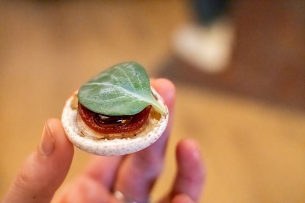 macaron at Obsidian by Graphite