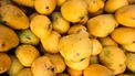 Pakistaanse mango